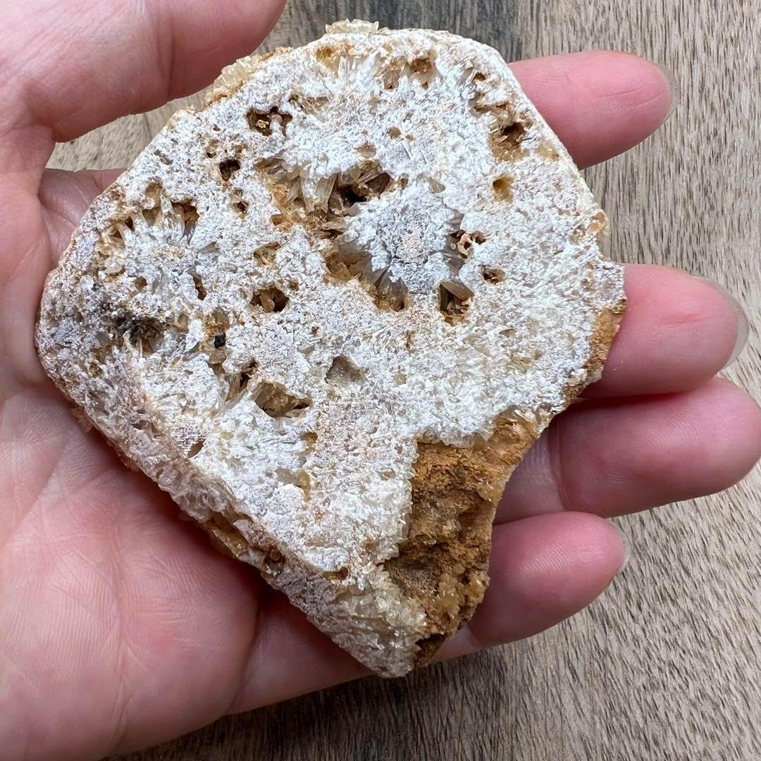 カルサイト パイライト 共生 鉱物 標本 原石 パイライト 形 フラワー